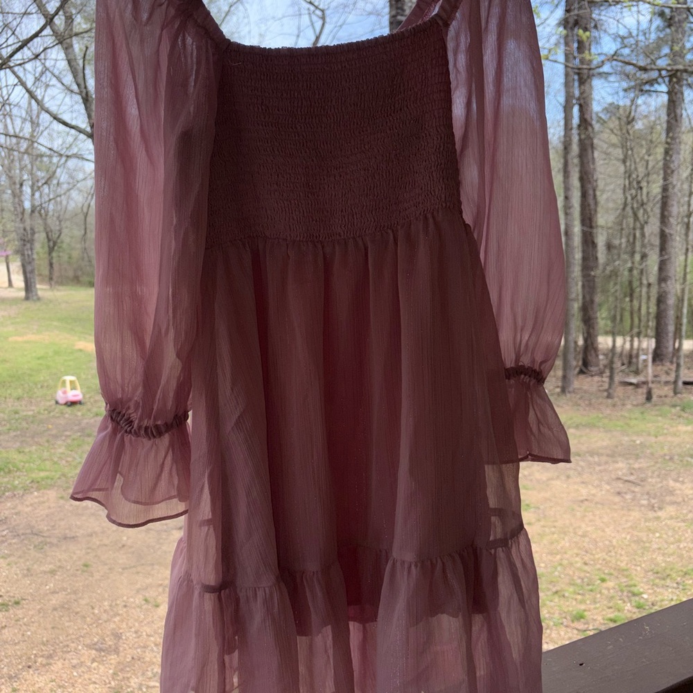 Sheer Mauve Long Sleeve Dress